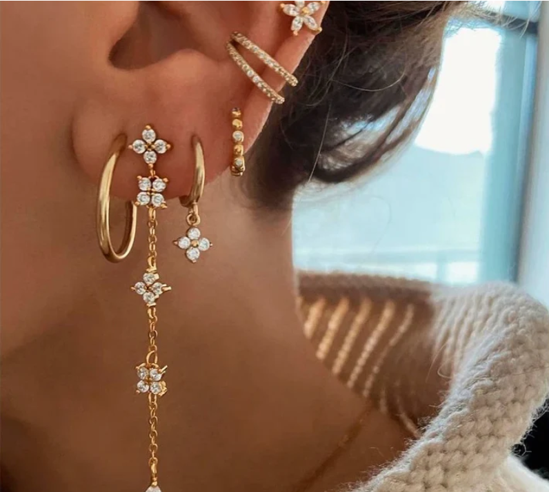 Earrings