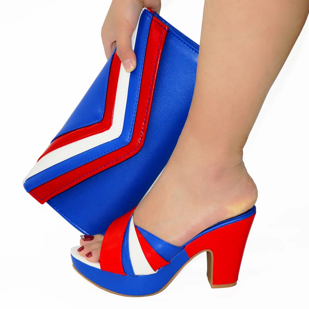 Shoes and Bags Matching Set Women Party Pumps High Heels