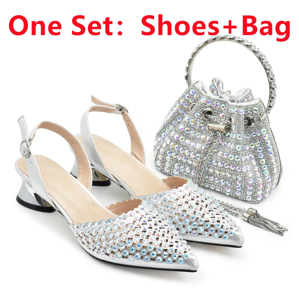 Nigeria Shoe and Bag Wedding Shoes Women Party Pumps