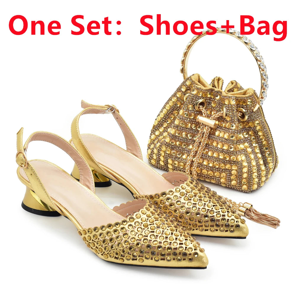 Nigeria Shoe and Bag Wedding Shoes Women Party Pumps