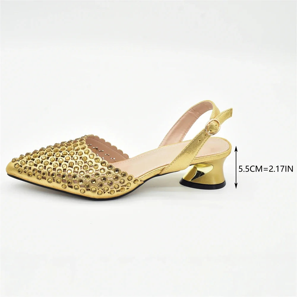 Nigeria Shoe and Bag Wedding Shoes Women Party Pumps