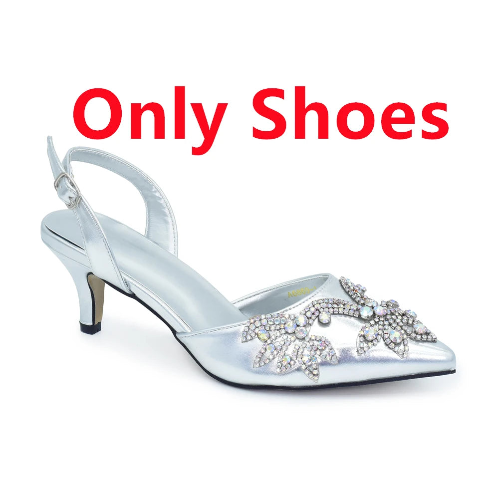 Shoes and Bags Matching Set for Women