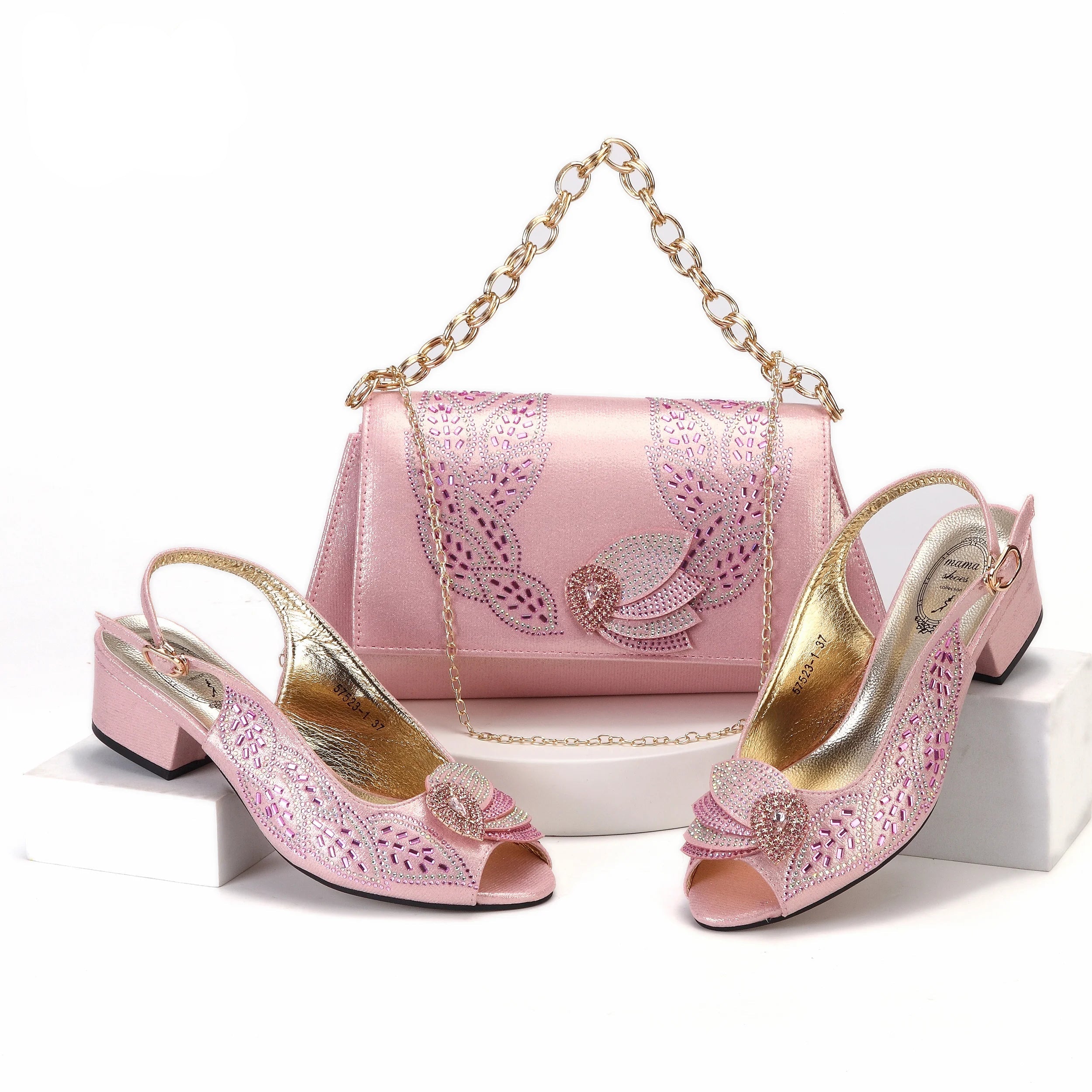 Low Heels Pumps Matching Hand Bag in Champagne Color High Quality for Wedding