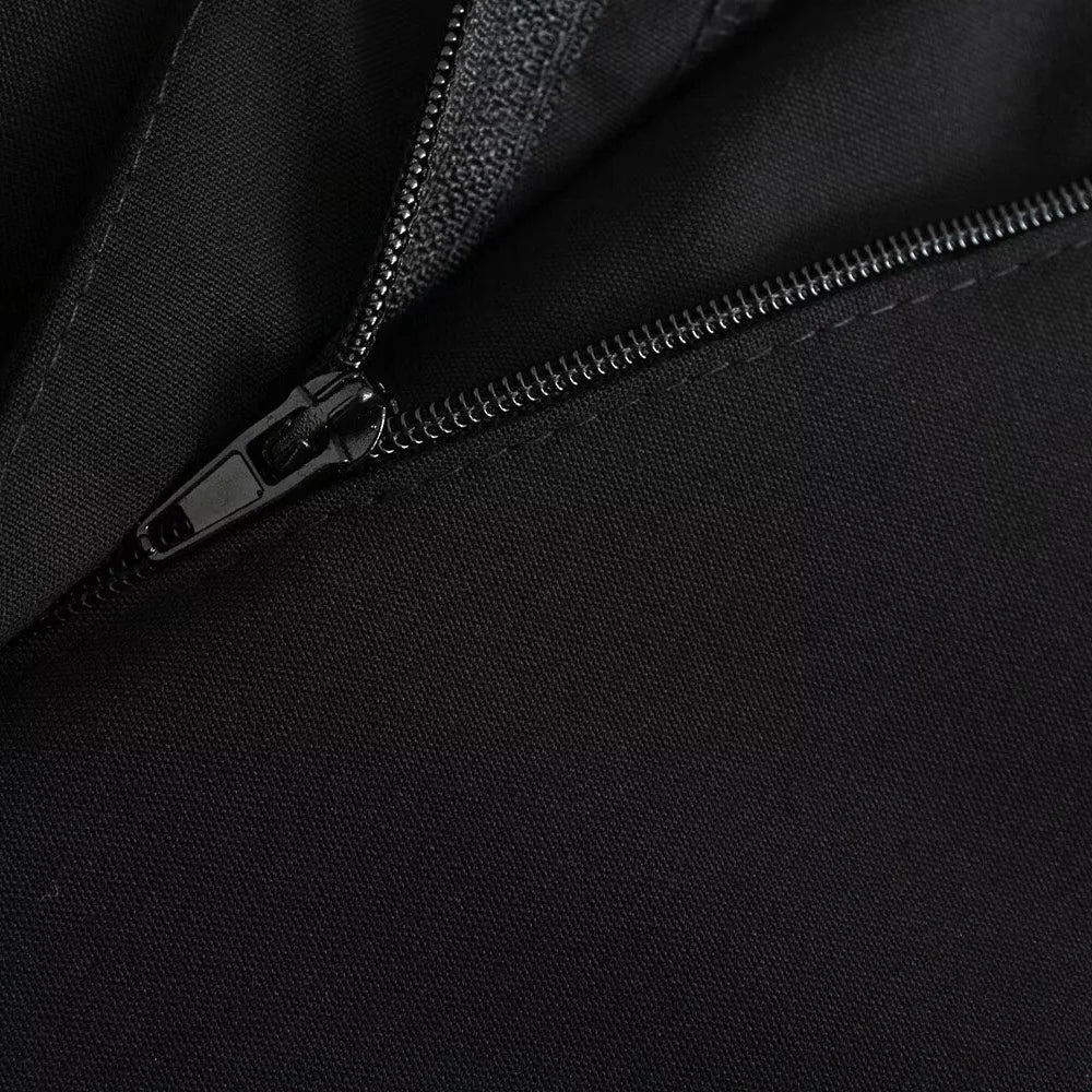 PB&ZA 2024 Women's New Straight Loose Pants for Professional Commuter Small Pleated High Waist Wide Leg Pants