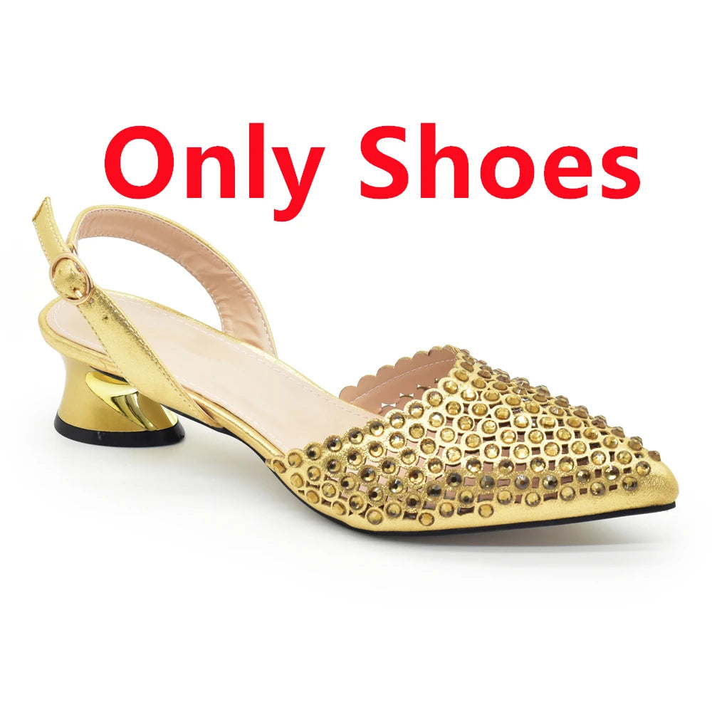 Nigeria Shoe and Bag Wedding Shoes Women Party Pumps