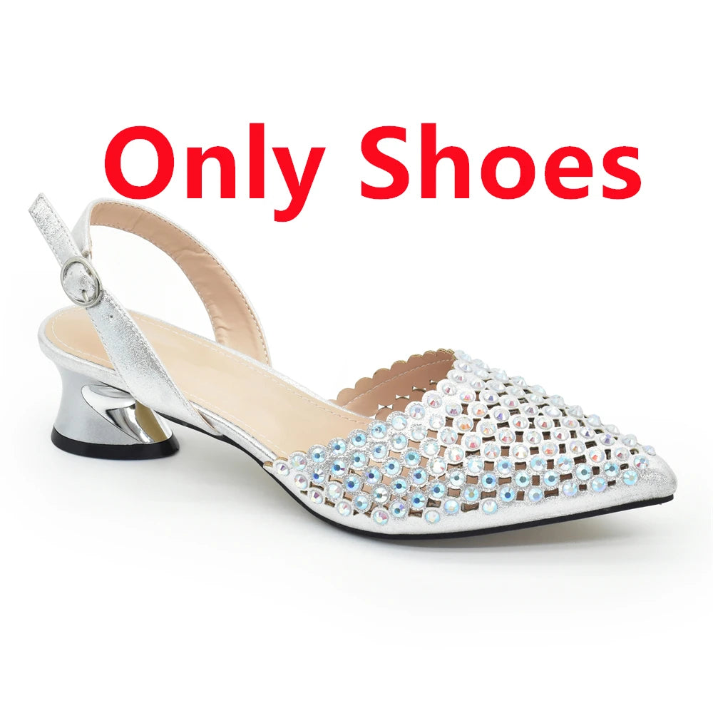 Nigeria Shoe and Bag Wedding Shoes Women Party Pumps
