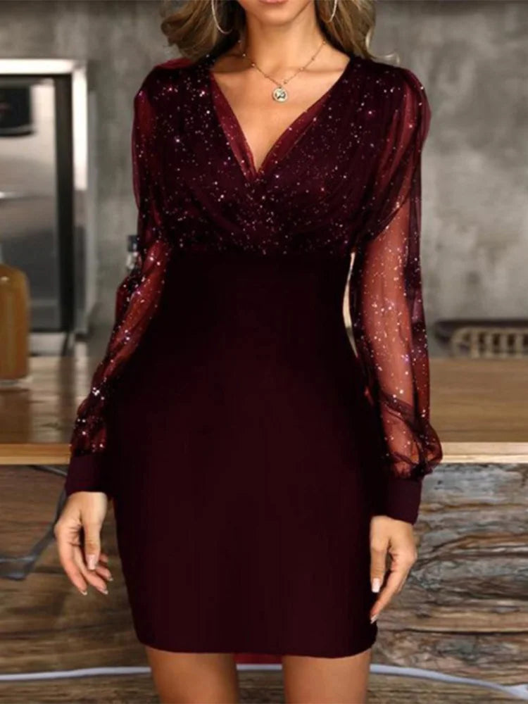 Sexy V-Neck See Through Long Sleeve Dress