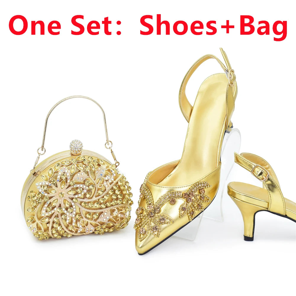 Shoes and Bags Matching Set for Women