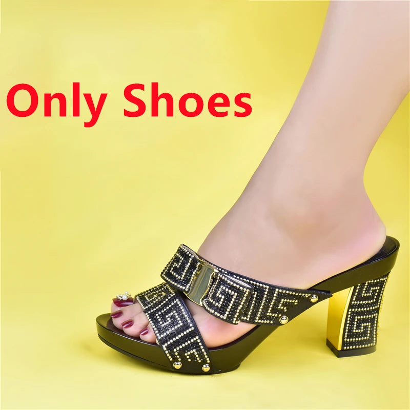Party Shoe and Bag Sets Black Color Women Matching Shoes and Bag Set