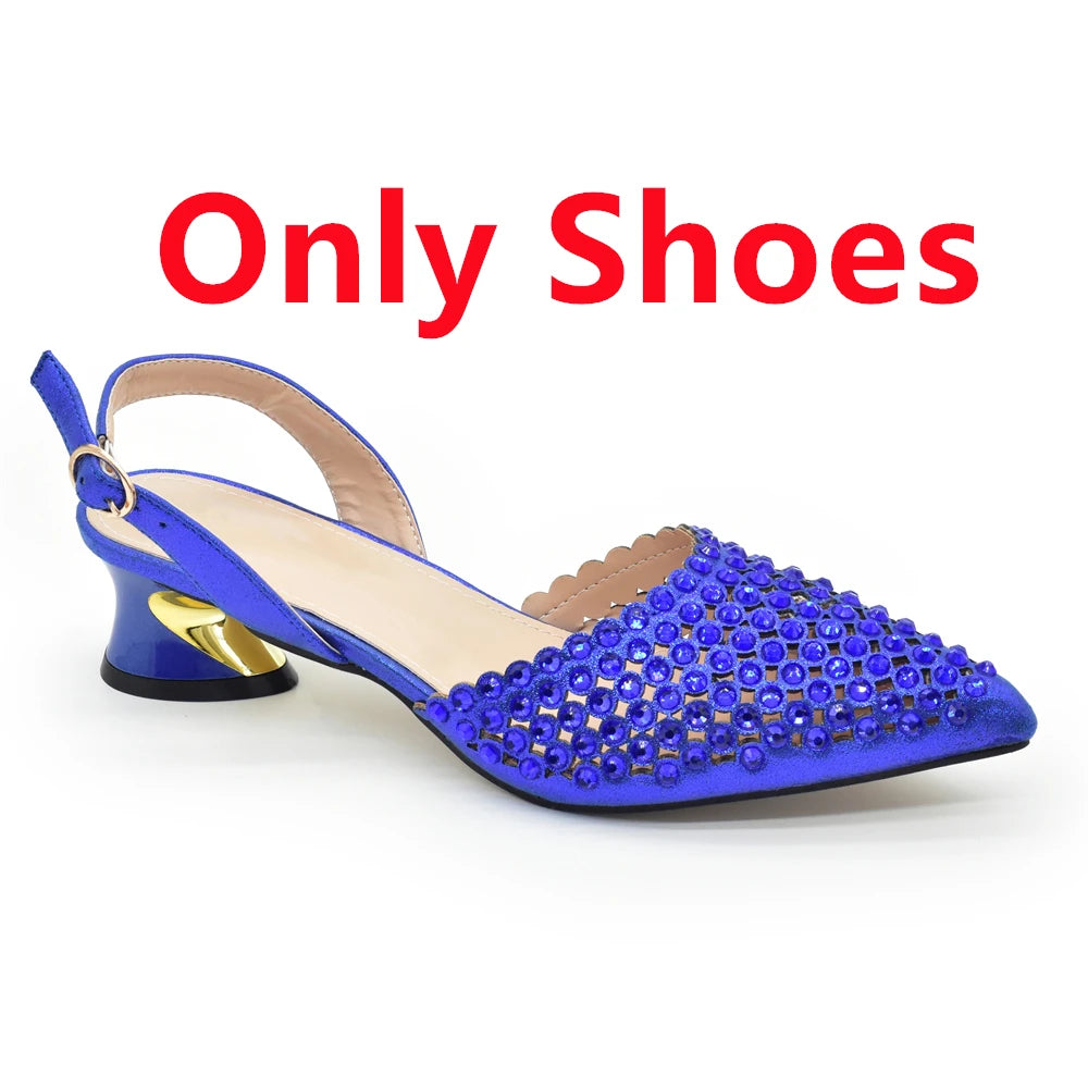 Nigeria Shoe and Bag Wedding Shoes Women Party Pumps