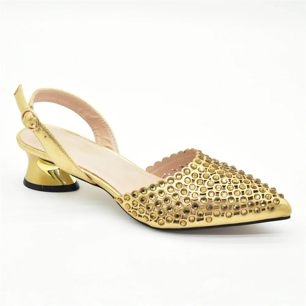 Nigeria Shoe and Bag Wedding Shoes Women Party Pumps