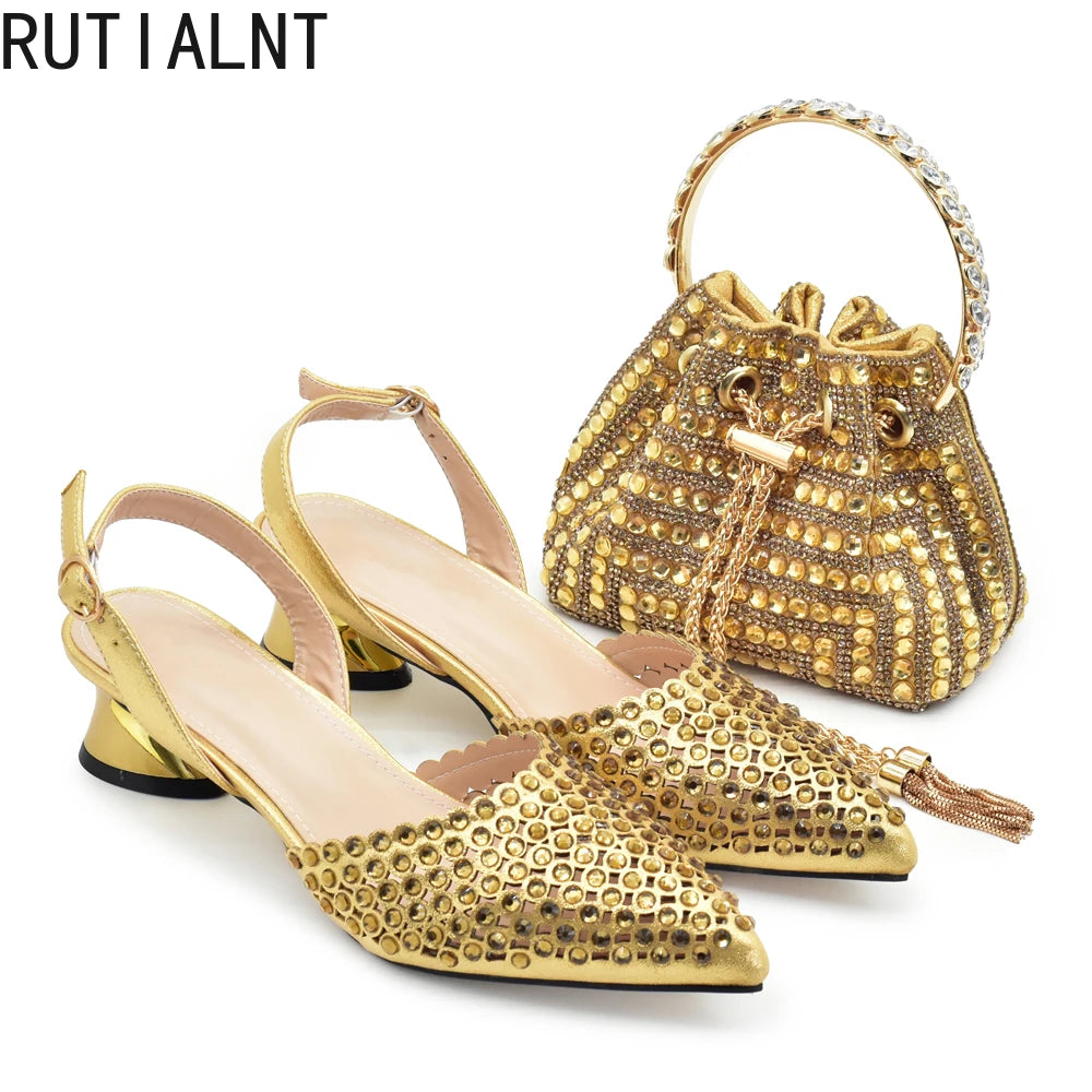 Nigeria Shoe and Bag Wedding Shoes Women Party Pumps