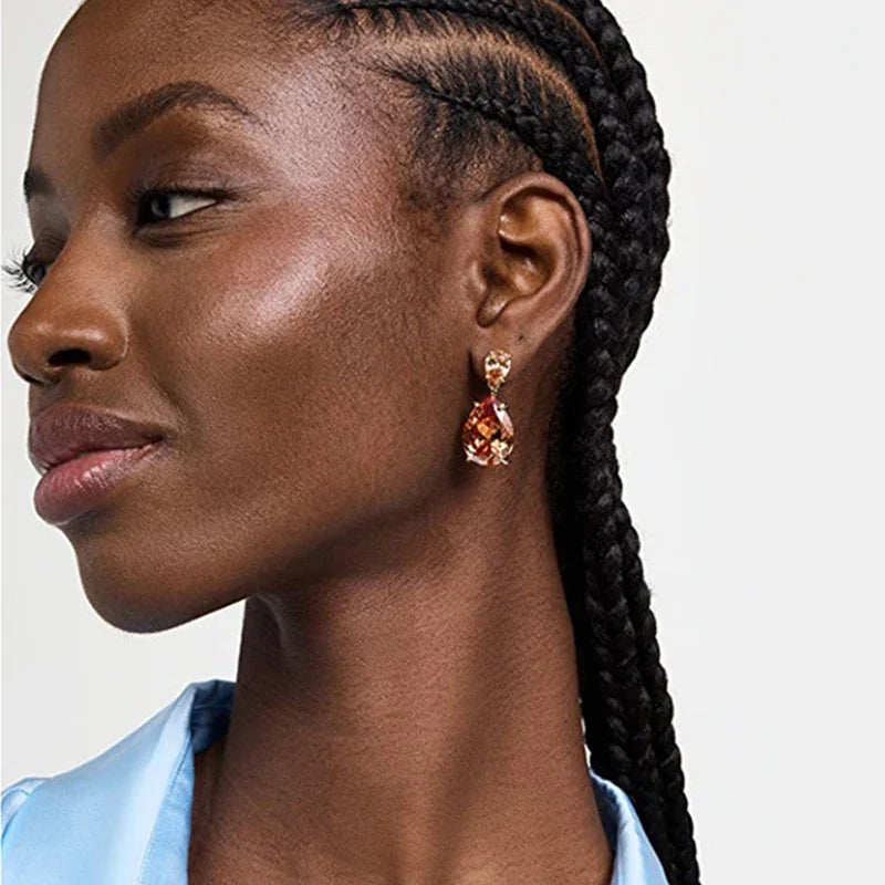 Jewelry Party Accessories Elegant Earrings for Women