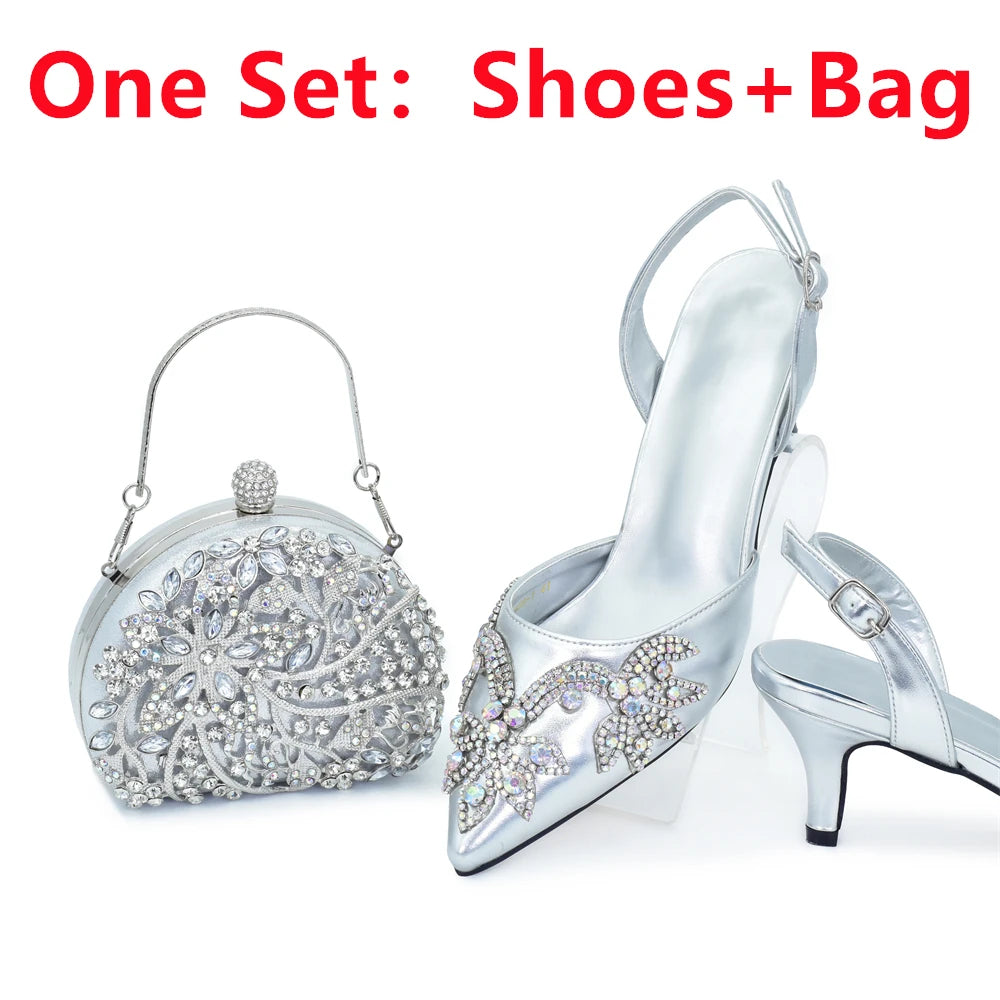 Shoes and Bags Matching Set for Women
